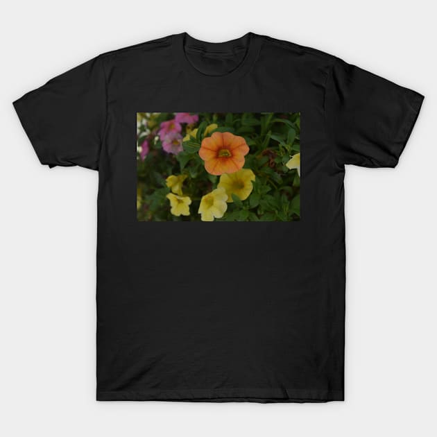 Blooms. T-Shirt by CanadianWild418